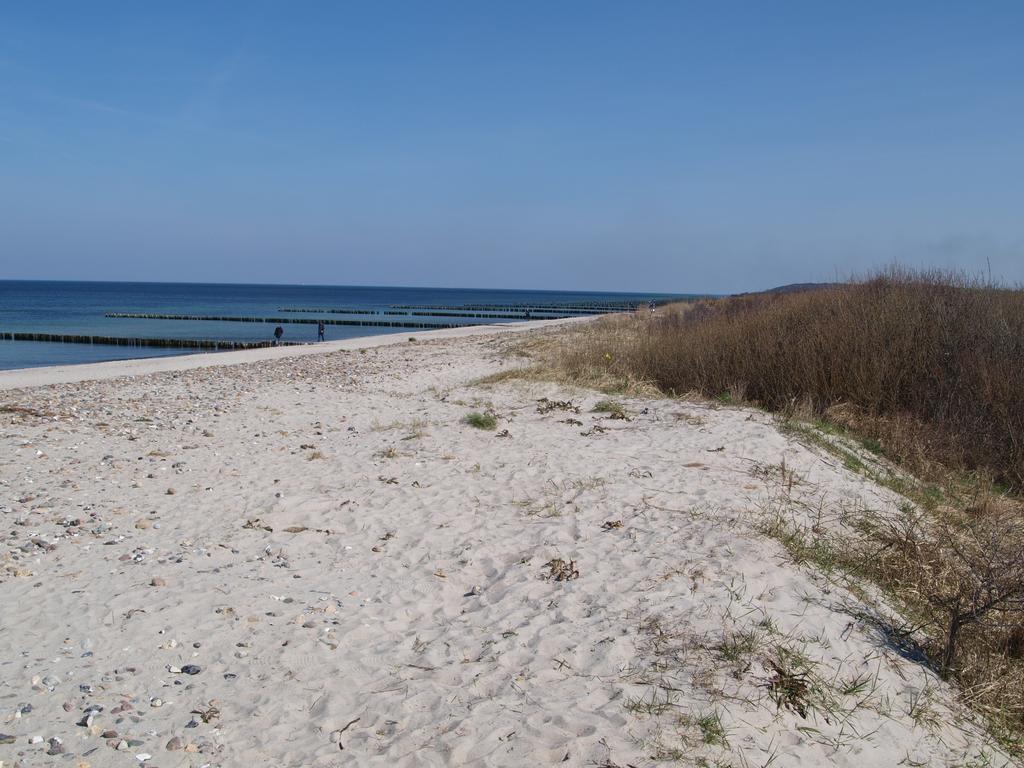 Strandläufer Börgerende-Rethwisch